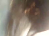 Animal sex clip of fucking s dog
